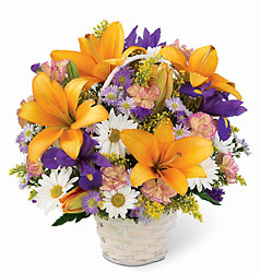 Natural Wonders Bouquet In Waterford Michigan Jacobsen's Flowers